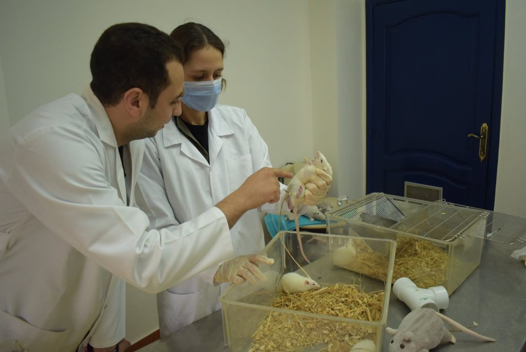 Preclinical research laboratory bench at the EG-LAS R&D division