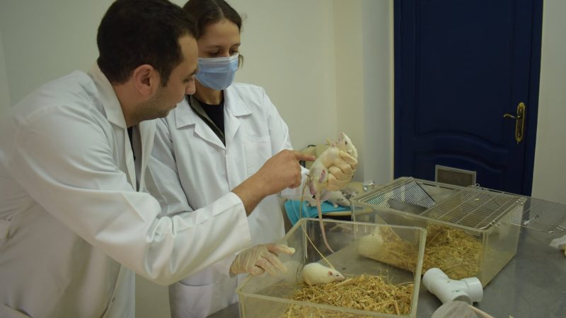 Preclinical research laboratory bench at the EG-LAS R&D division