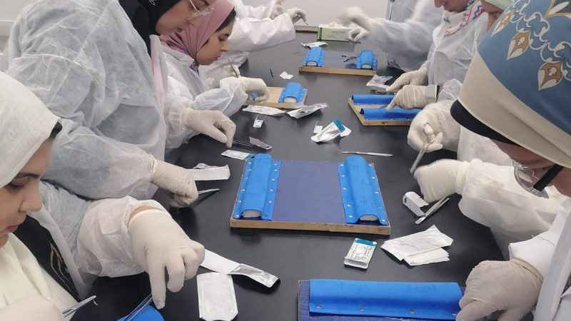 CTC-LAS instructor leading a hands-on laboratory animal science training session
